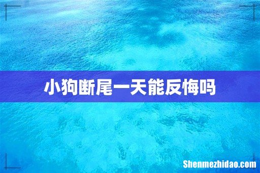 小狗断尾一天能反悔吗