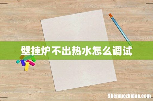 壁挂炉不出热水怎么调试