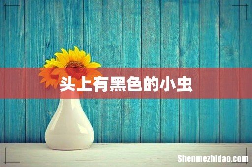 头上有黑色的小虫
