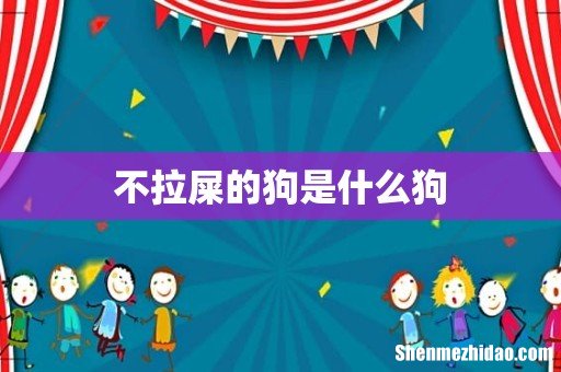 不拉屎的狗是什么狗