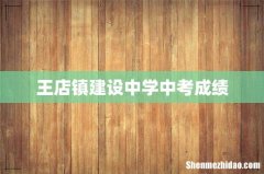 王店镇建设中学中考成绩