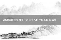 1999年11月8日出生阴历多少 1999年11月8日农历是什么星座
