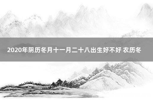 1999年11月8日出生阴历多少 1999年11月8日农历是什么星座