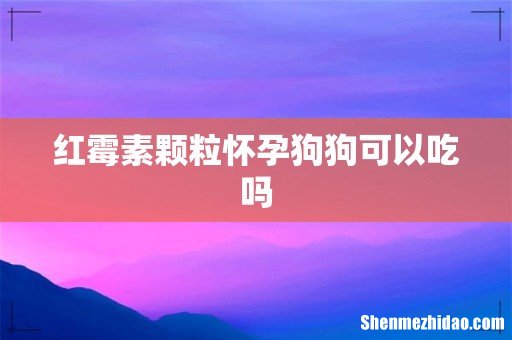 红霉素颗粒怀孕狗狗可以吃吗