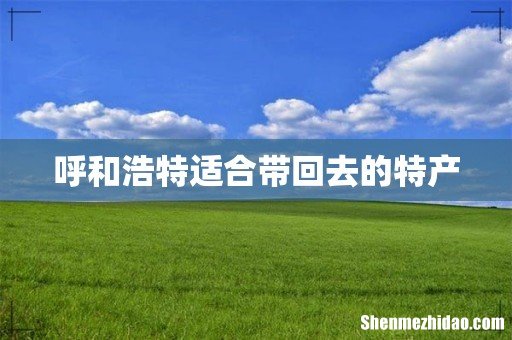 呼和浩特适合带回去的特产