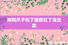 狗狗爪子划了轻微红了没出血