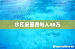 水库安置费每人40万