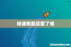 杨谦南最后娶了谁