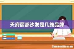 天府丽都沙发是几线品牌