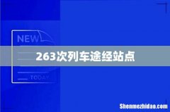 263次列车途经站点