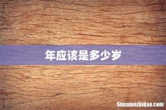 年应该是多少岁