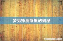 梦见掉厕所里沾到屎
