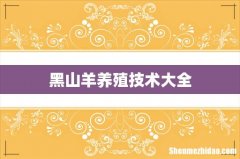 黑山羊养殖技术大全