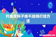 钓鱼双钩子线不缠绕打结方法