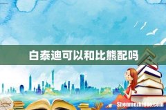 白泰迪可以和比熊配吗