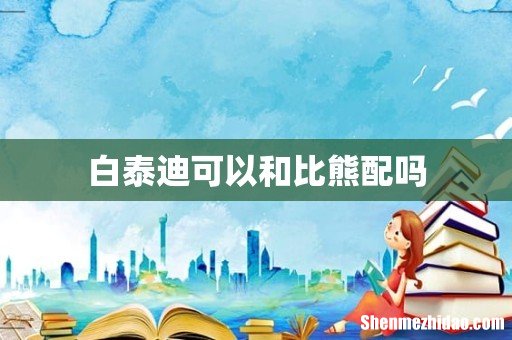 白泰迪可以和比熊配吗