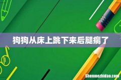 狗狗从床上跳下来后腿瘸了