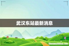 武汉东站最新消息