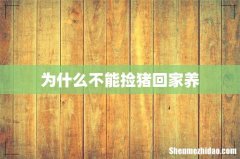 为什么不能捡猪回家养
