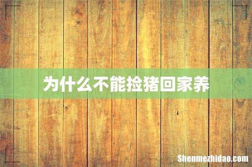 为什么不能捡猪回家养