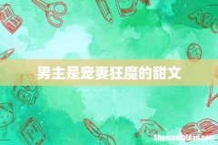 男主是宠妻狂魔的甜文