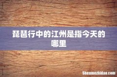 琵琶行中的江州是指今天的哪里