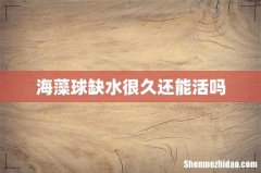 海藻球缺水很久还能活吗