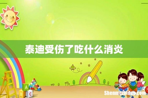泰迪受伤了吃什么消炎