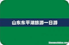 山东东平湖旅游一日游