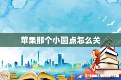 苹果那个小圆点怎么关