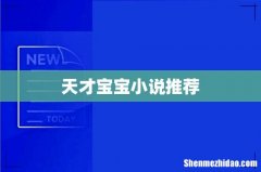 天才宝宝小说推荐