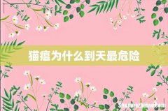 猫瘟为什么到天最危险