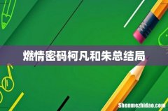 燃情密码柯凡和朱总结局