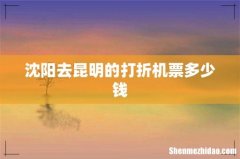 沈阳去昆明的打折机票多少钱