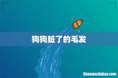 狗狗脏了的毛发