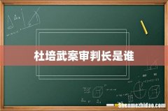 杜培武案审判长是谁