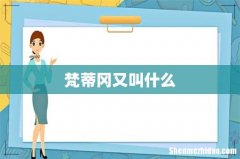 梵蒂冈又叫什么
