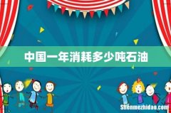 中国一年消耗多少吨石油