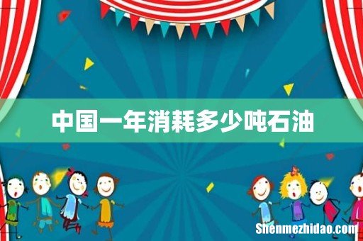 中国一年消耗多少吨石油