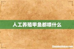 人工养殖甲鱼都喂什么