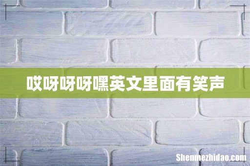 哎呀呀呀嘿英文里面有笑声