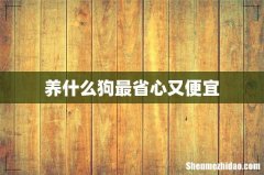 养什么狗最省心又便宜