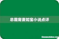 总裁宠妻如宝小说点评