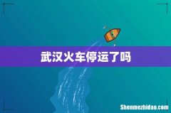 武汉火车停运了吗