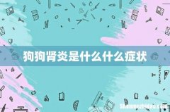 狗狗肾炎是什么什么症状