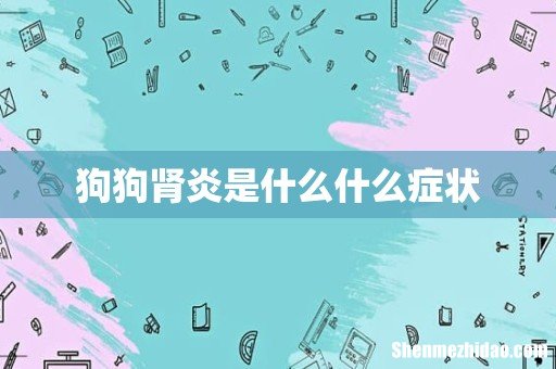 狗狗肾炎是什么什么症状