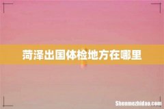 菏泽出国体检地方在哪里
