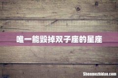 唯一能毁掉双子座的星座