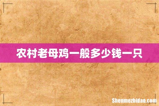 农村老母鸡一般多少钱一只