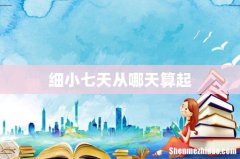 细小七天从哪天算起